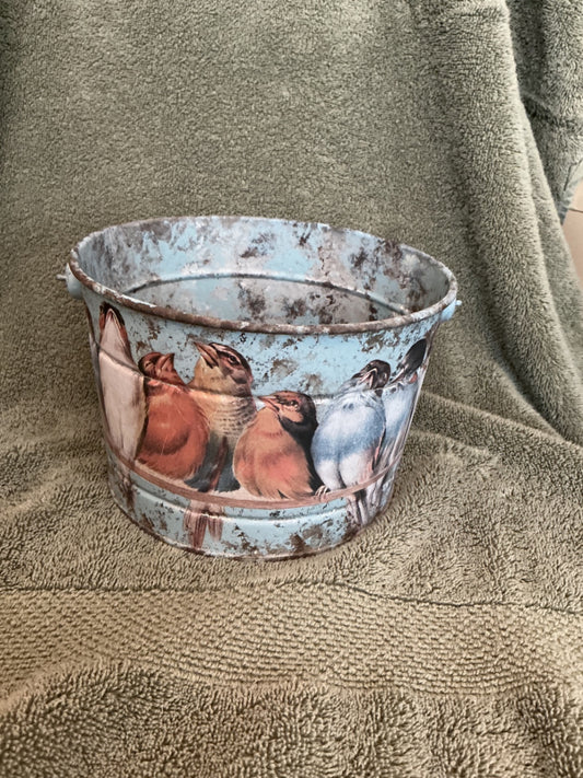 IOD galvanized bucket