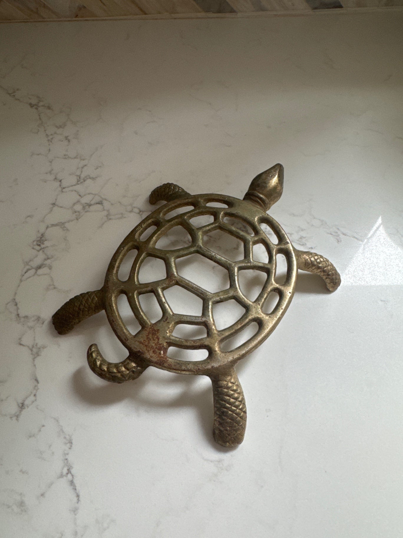 Brass Turtle Trivet