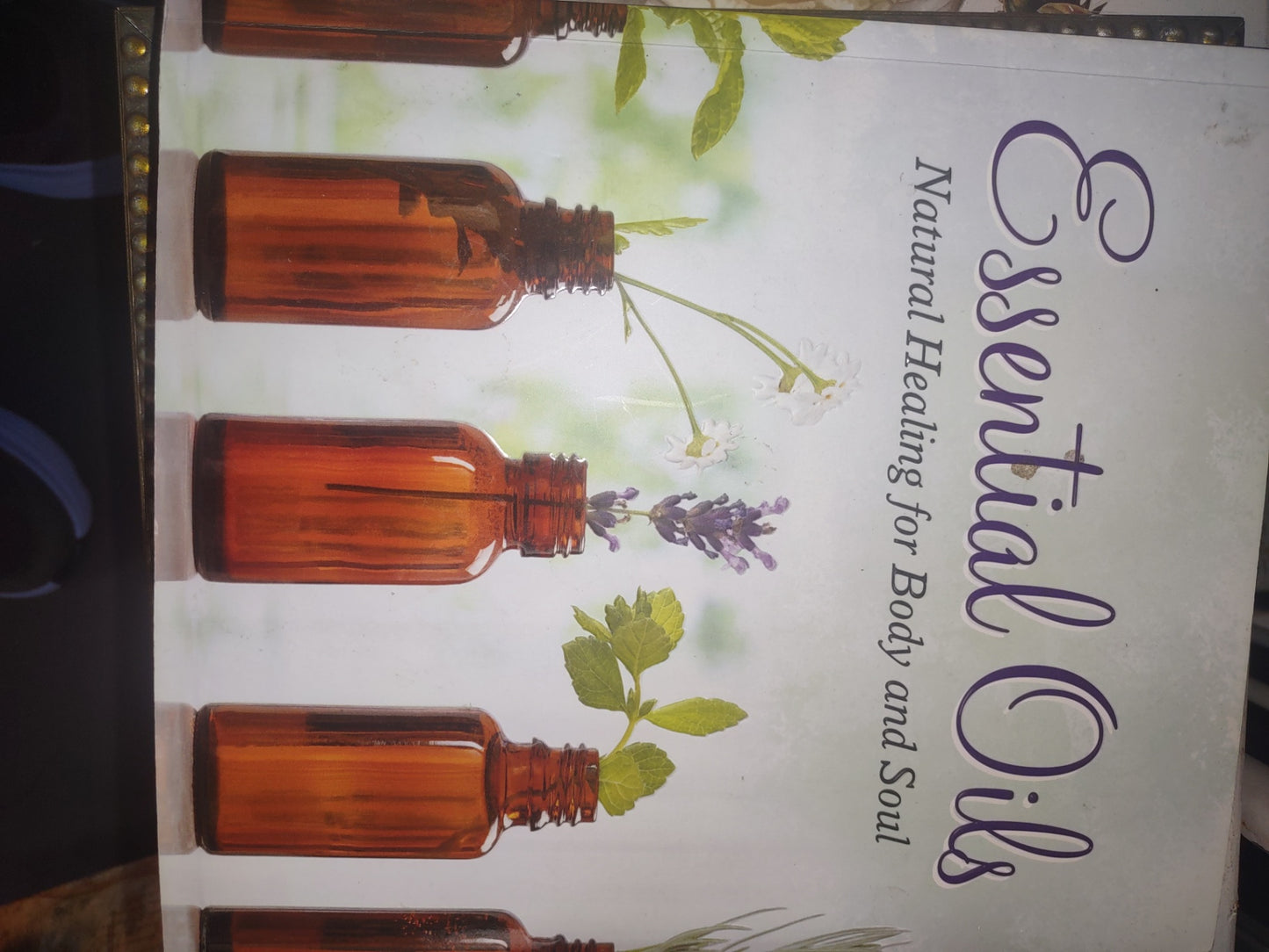 Oil jars book