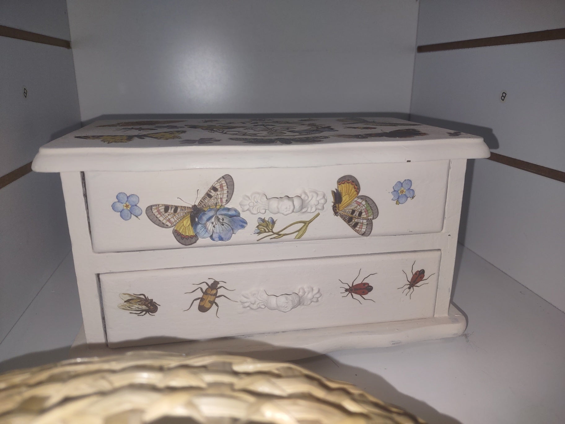 Jewelry box m insect