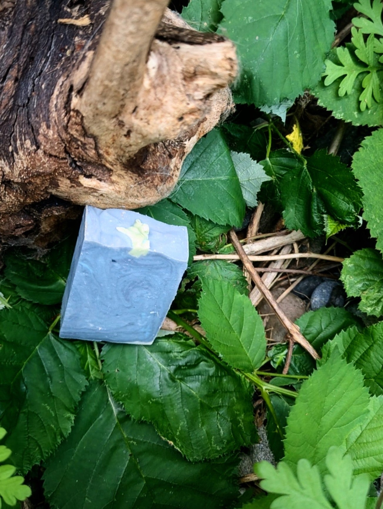 Blackberry Sage Recycled Lard bar soap