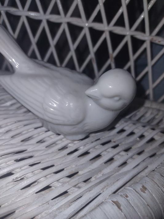  bird small