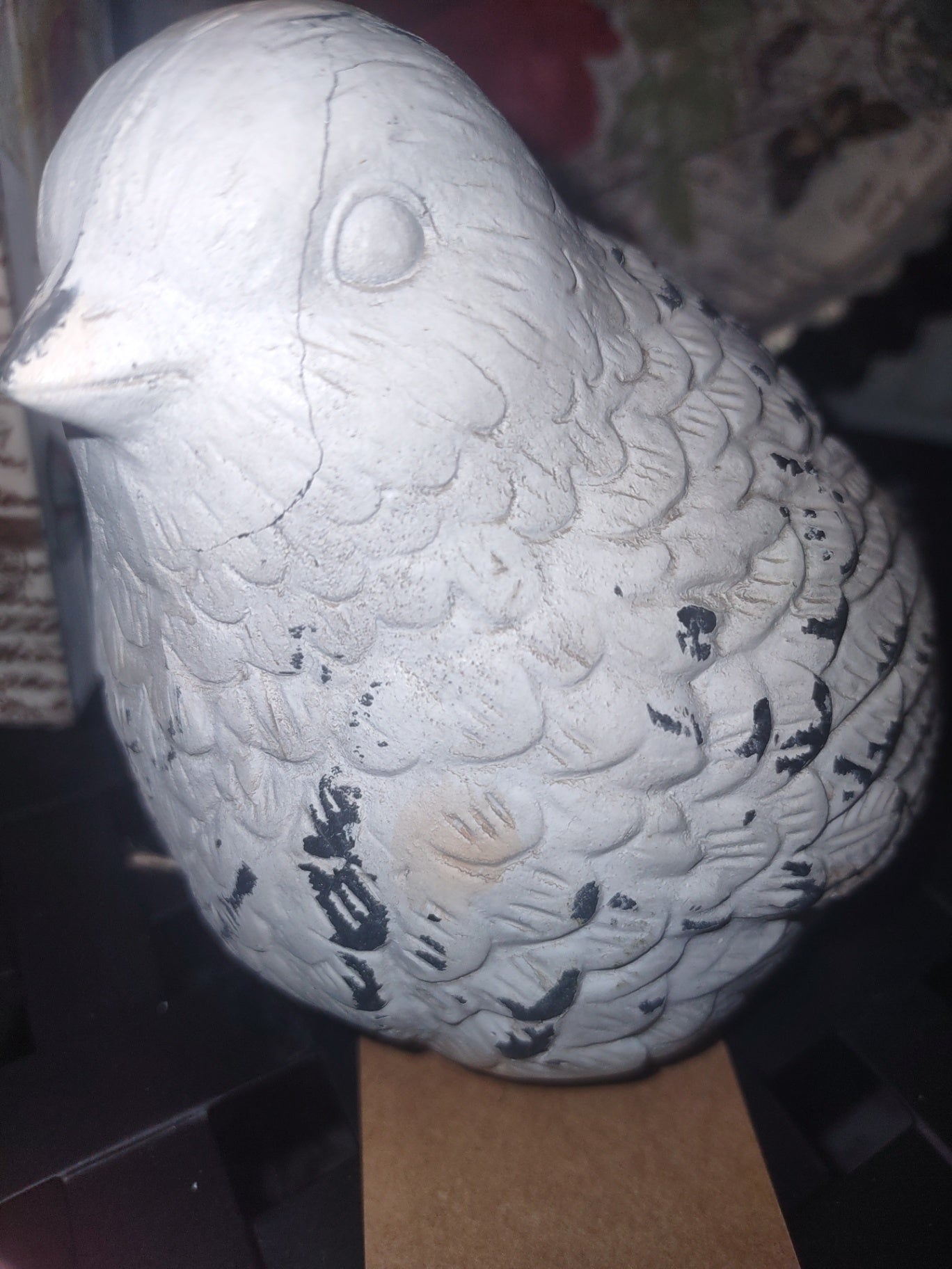 Bird bulb