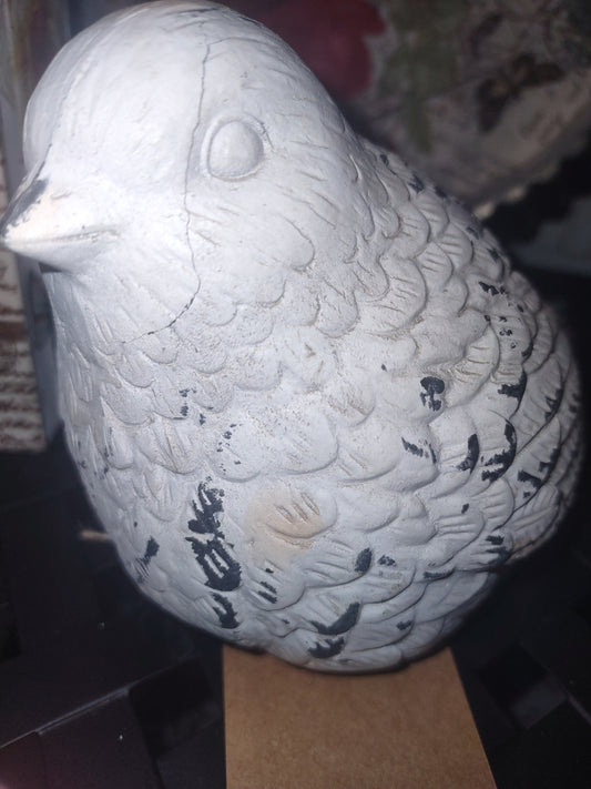 Bird bulb