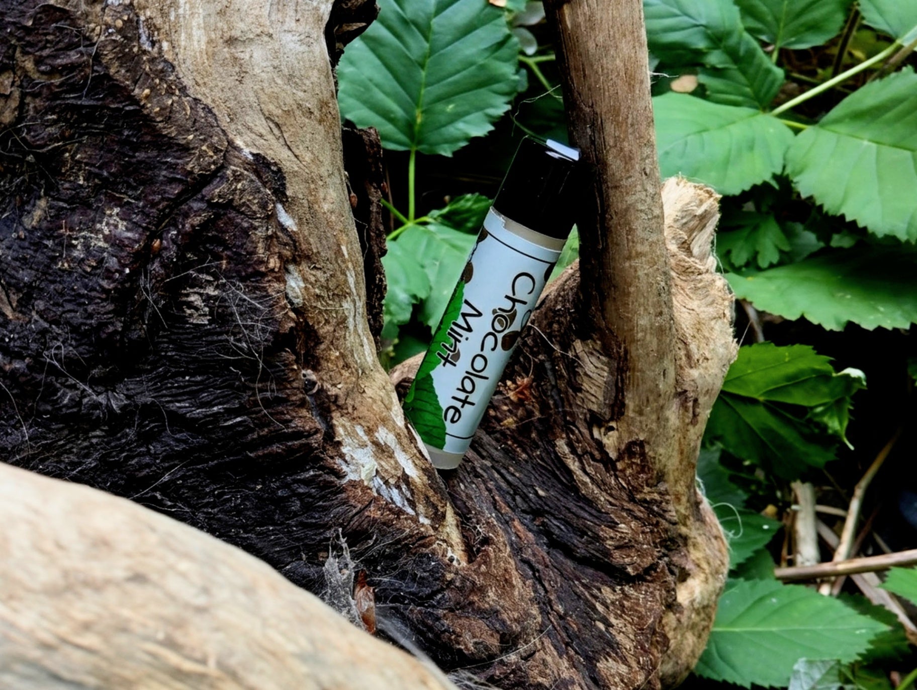 Tallow Lip Butter Chocolate Mint