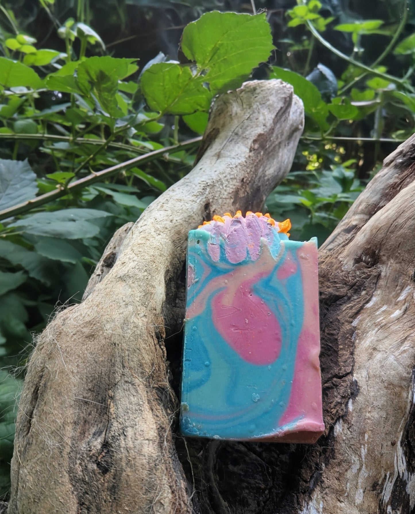 Cactus Blossom Recycled Lard bar soap