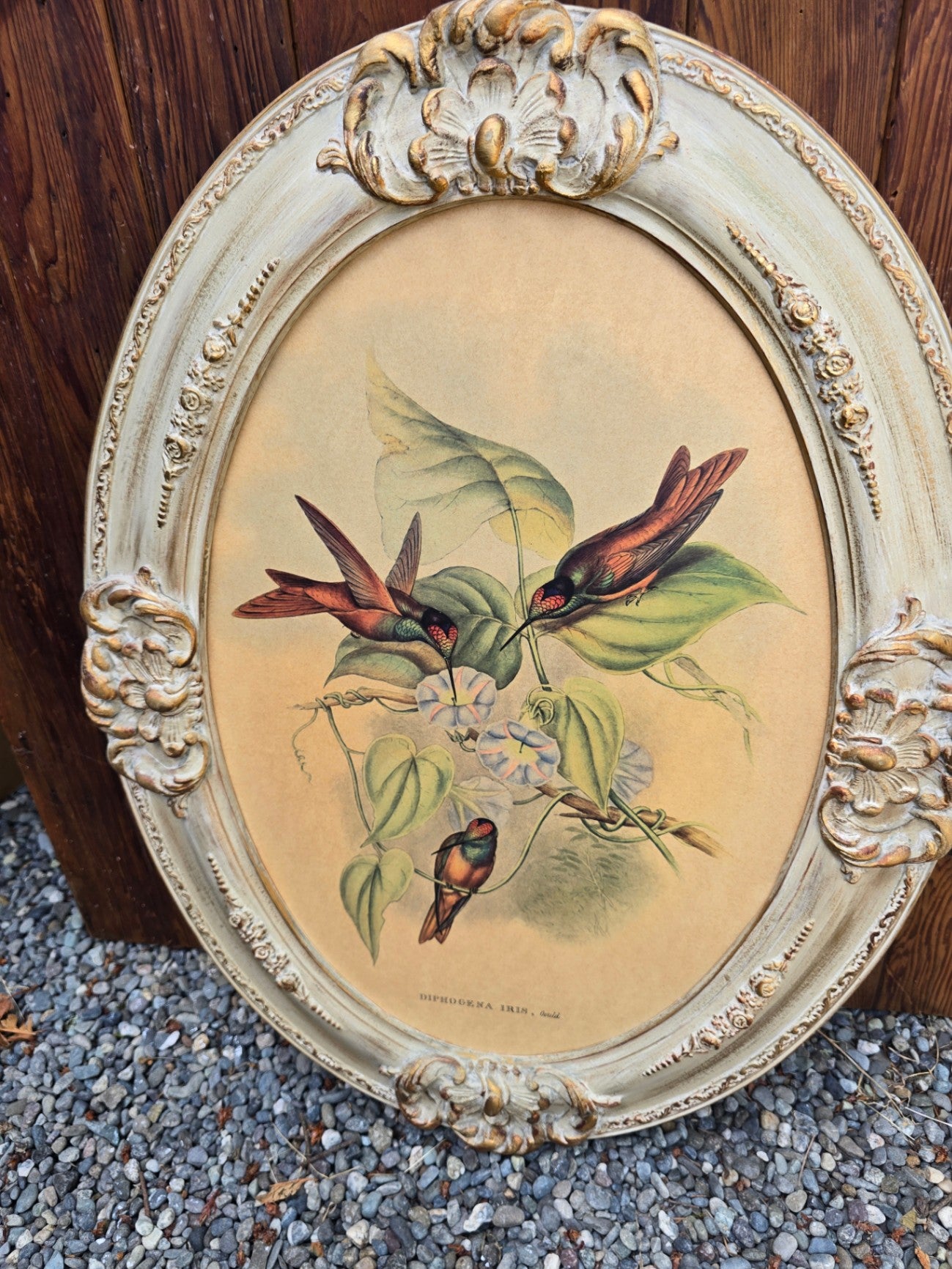 Framed bird