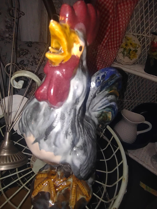 Rooster color 