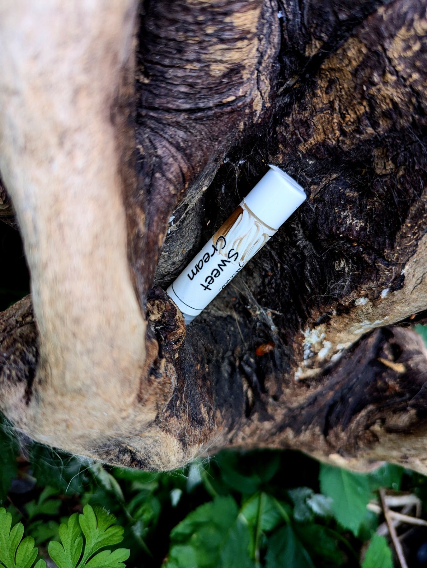 Tallow Lip Butter Sweet Cream
