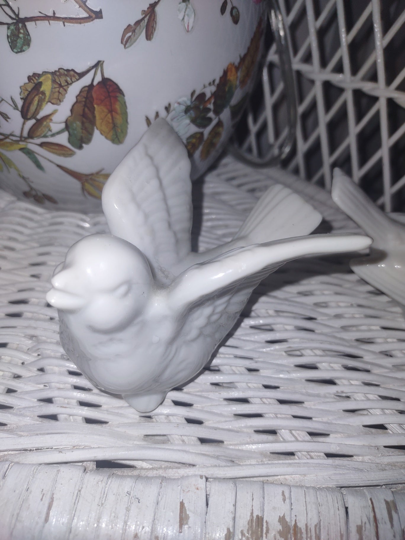  bird wing
