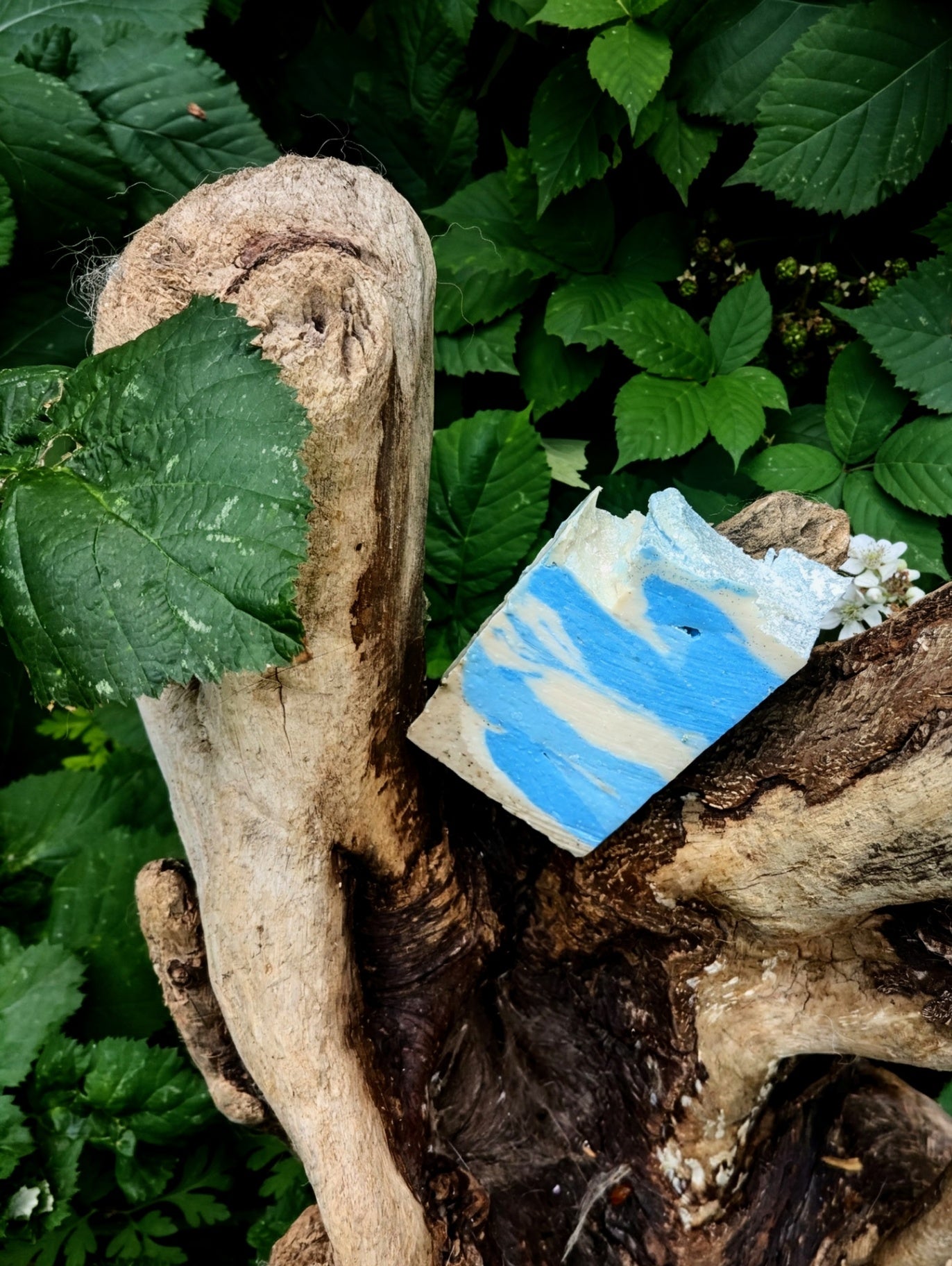 Ocean Shores Recycled Lard bar soap