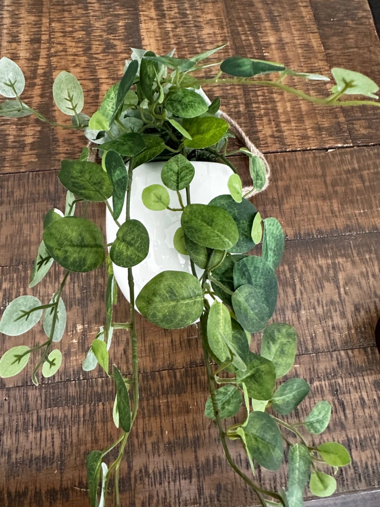 Hanging planter