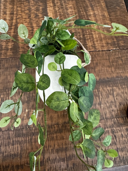 Hanging planter