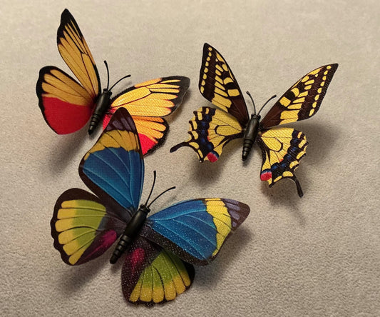 Pretty Butterfly 