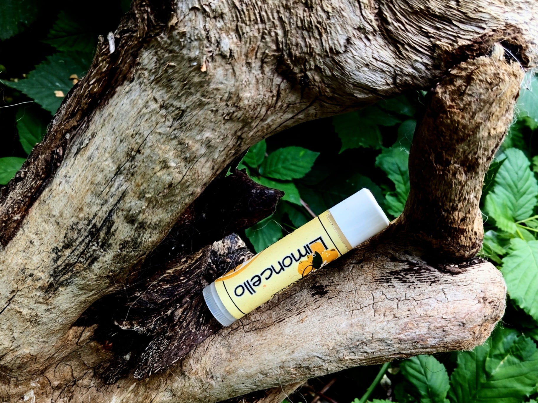 Tallow Lip Butter Limoncello 