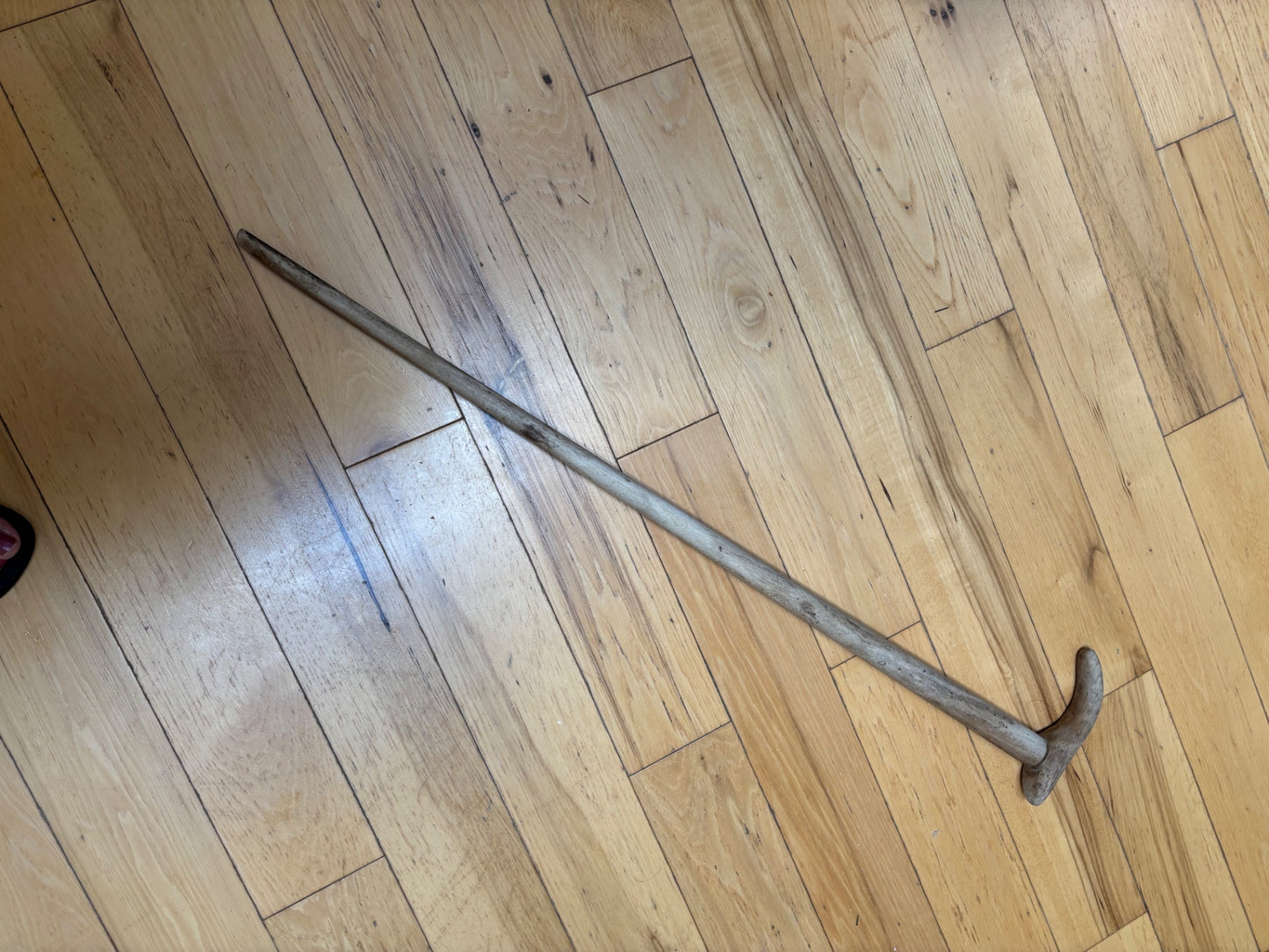 Vintage Walking Stick