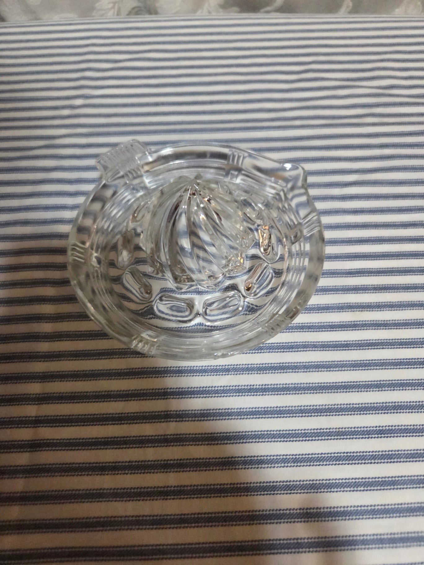 Hazel Stlas citrus juicer