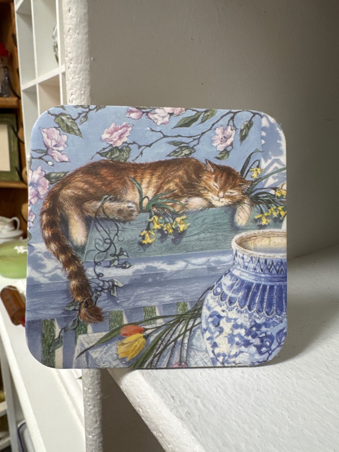 Cat coaster