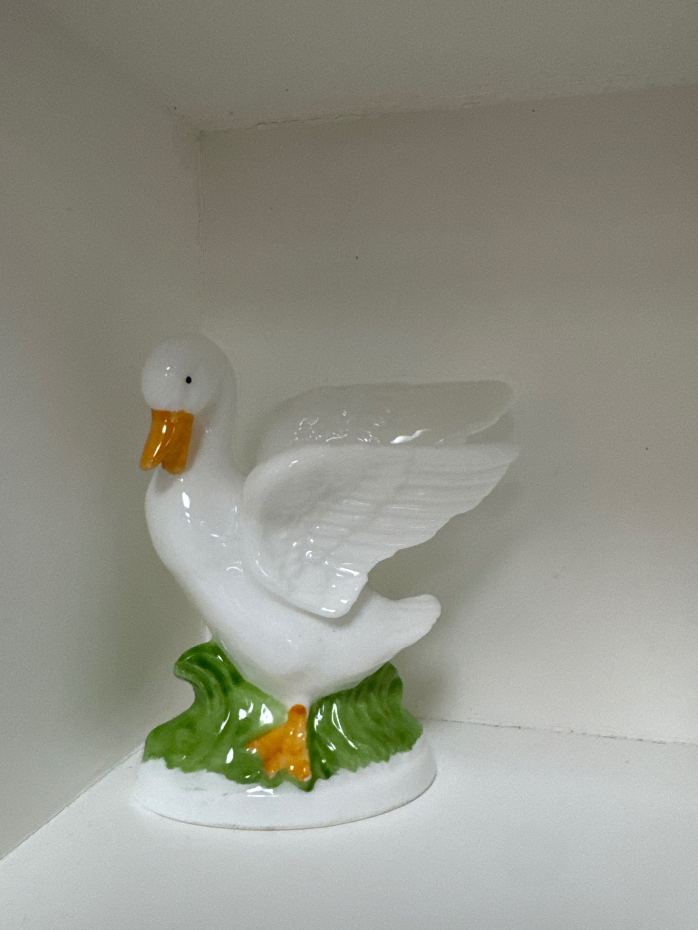 White  goose