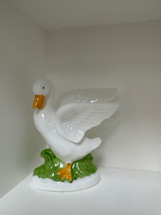 White  goose