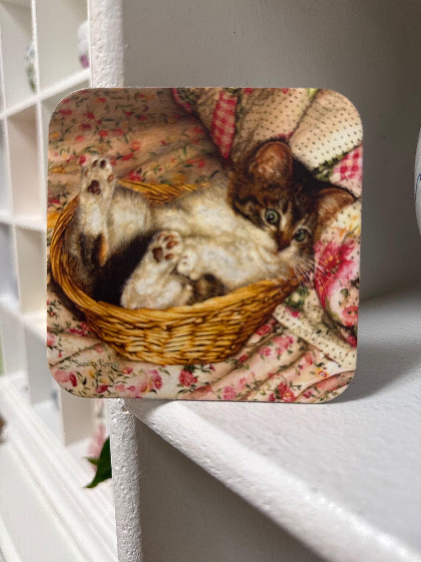 Cat coaster