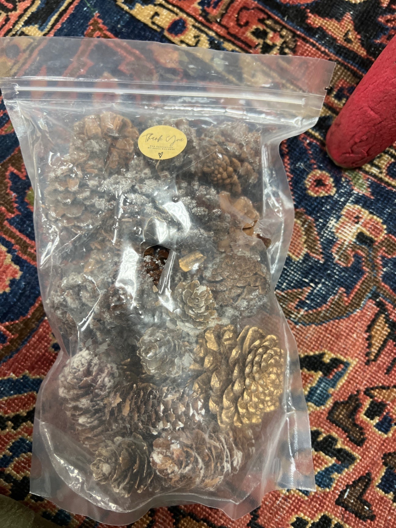 Holiday & Seasonal pinecones 