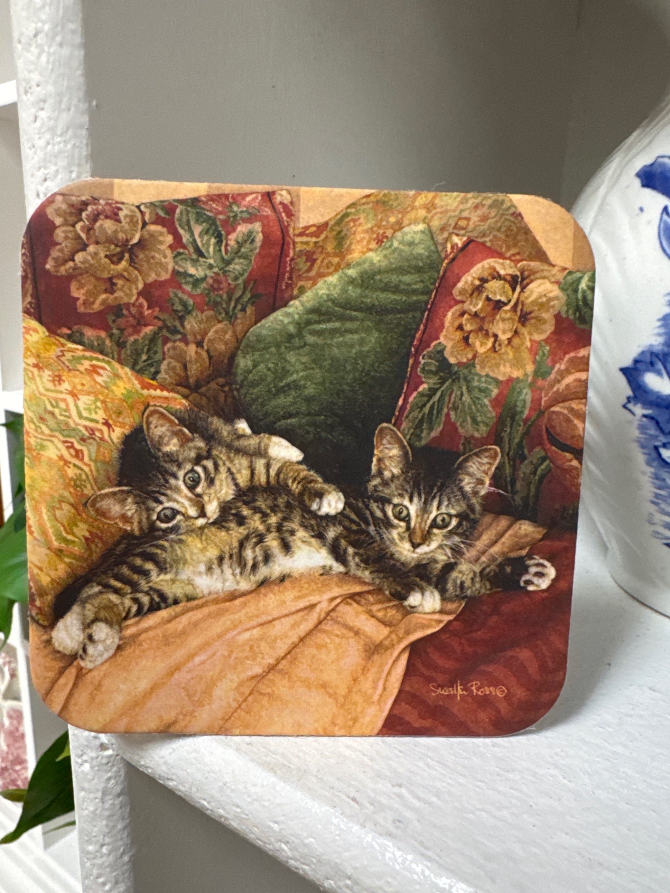 Cat coaster
