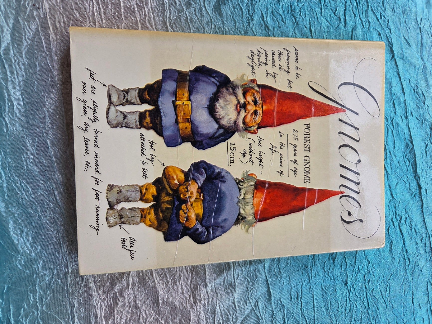 Gnomes