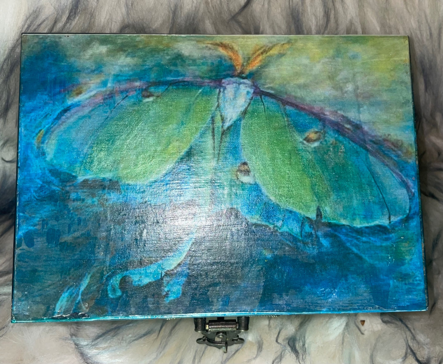 Decorative Box 5x4x2.5 lunar moth