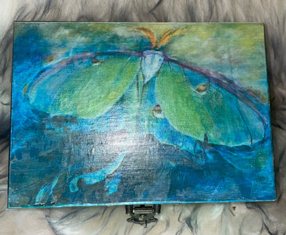Decorative Box 5x4x2.5 lunar moth