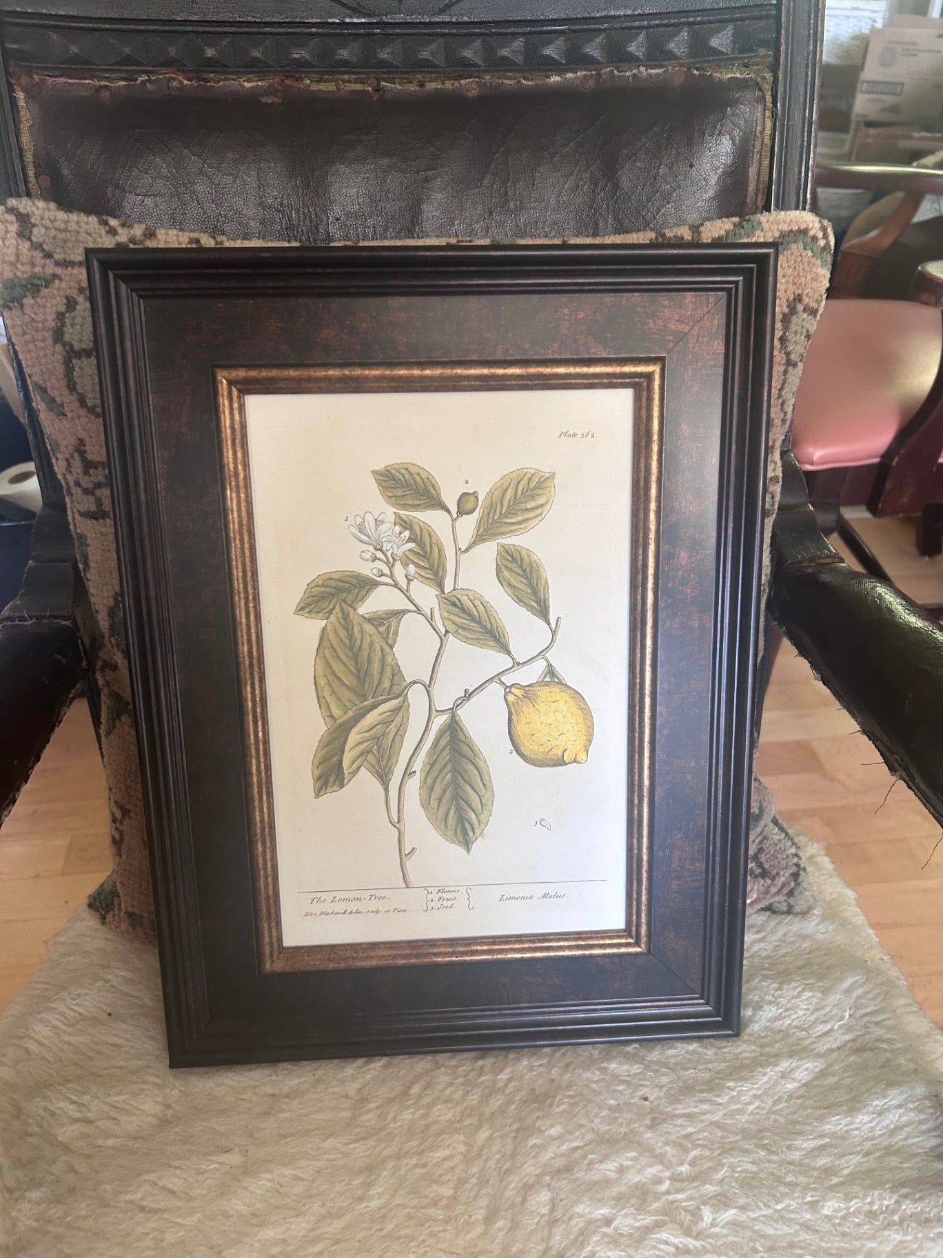 Lemon botanical print