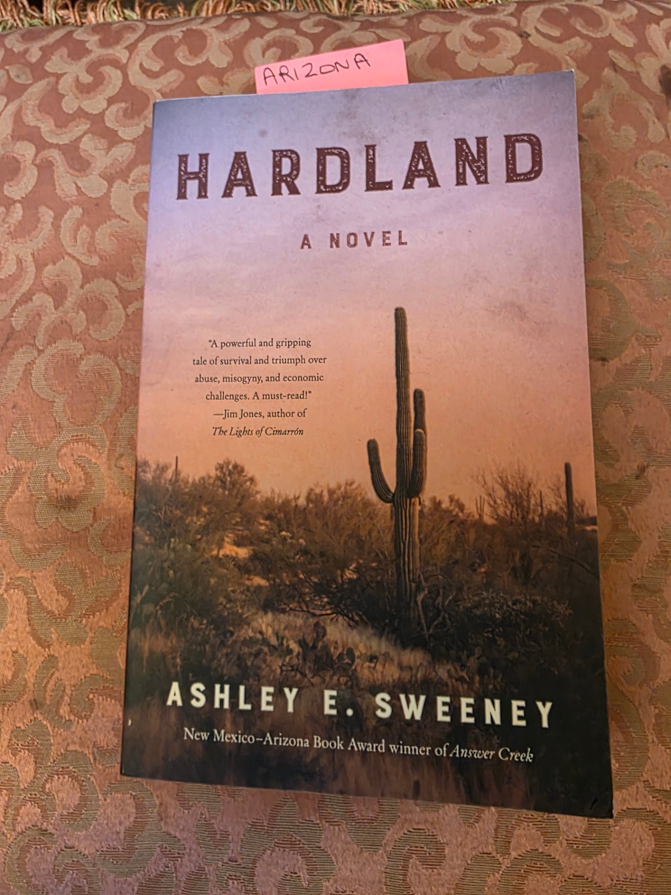 HARDLAND BY ASHLEY E SWEENEY.