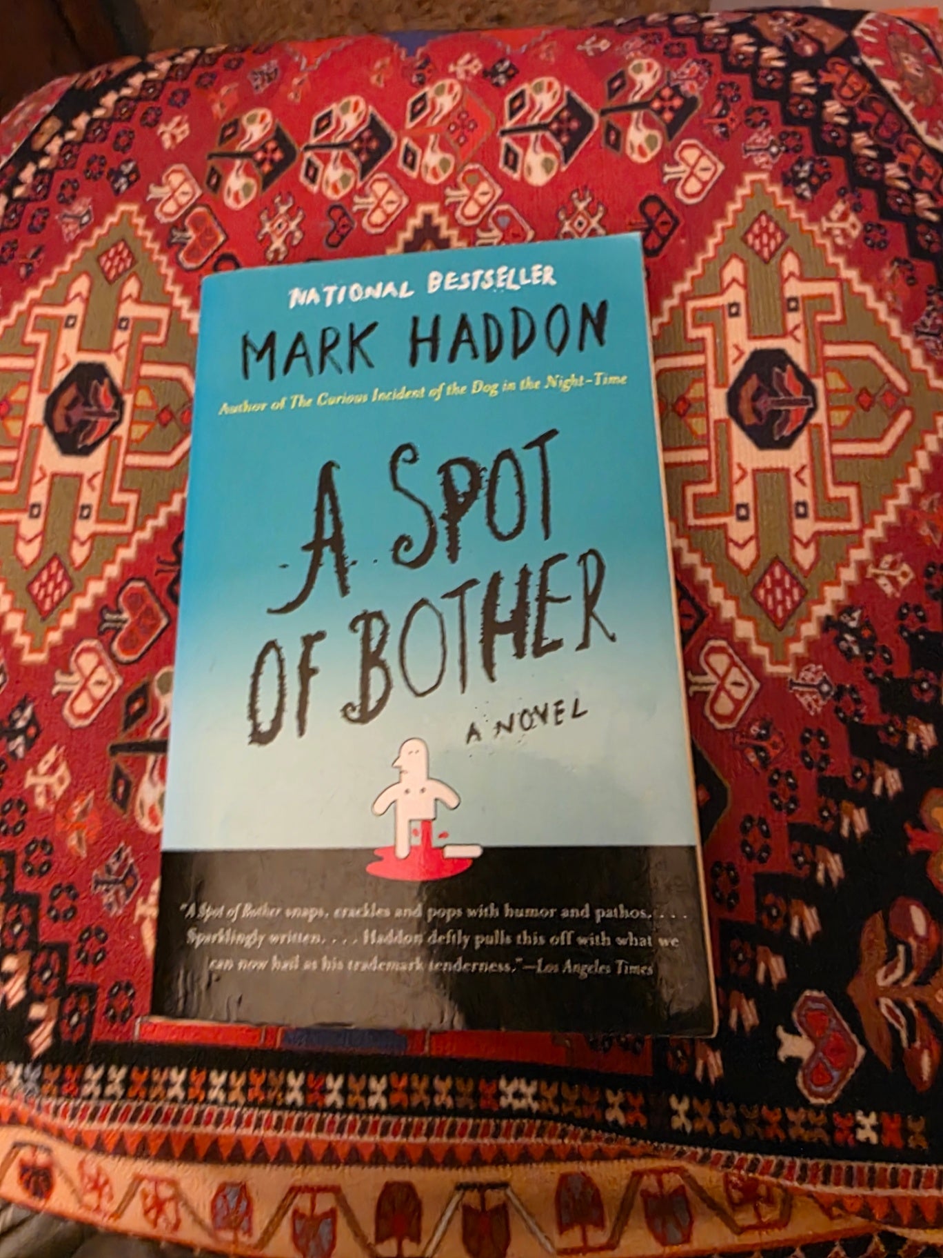 A SPOT OF BOTHER BY MARK HADDEN.