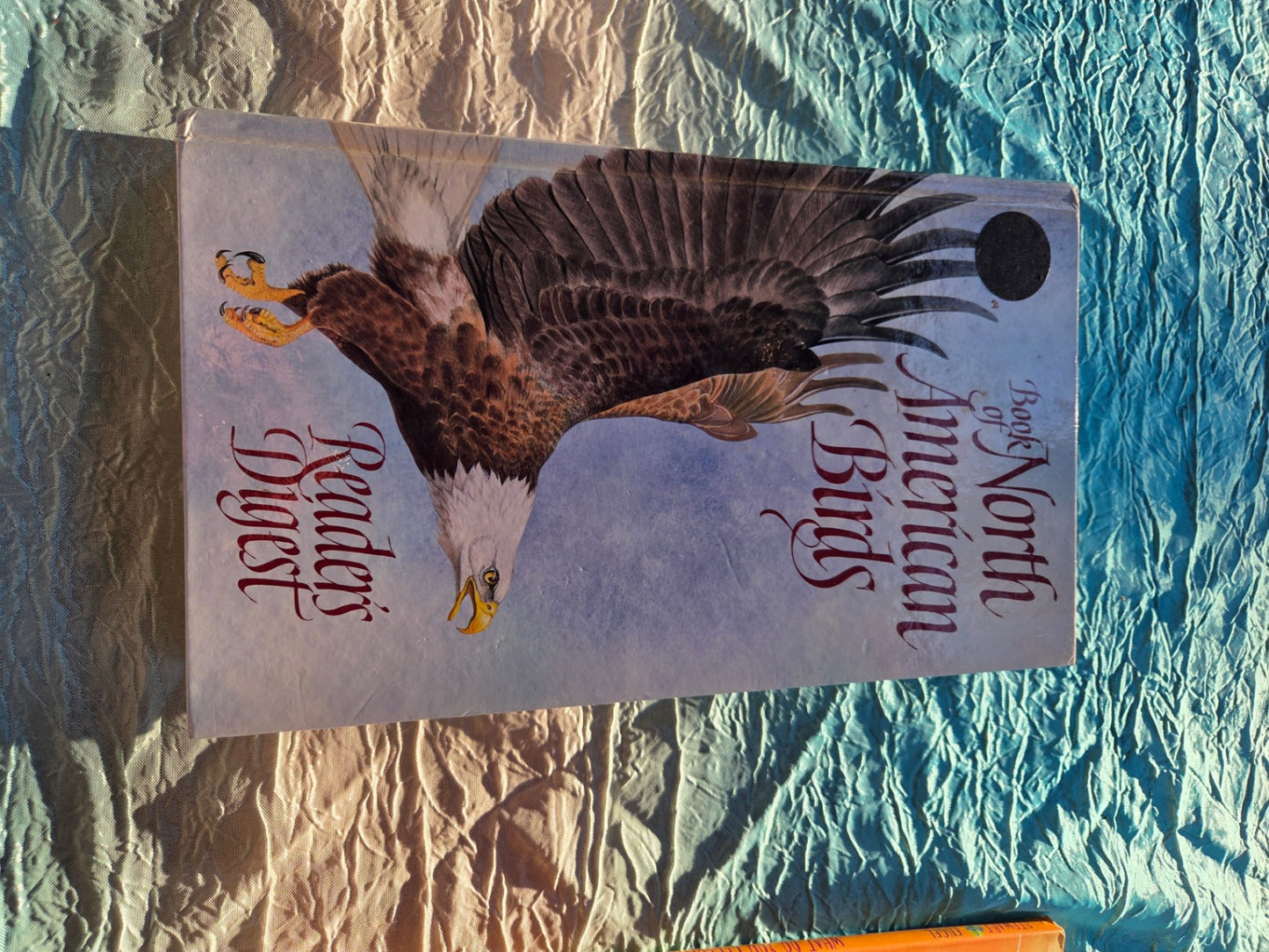 North american birds