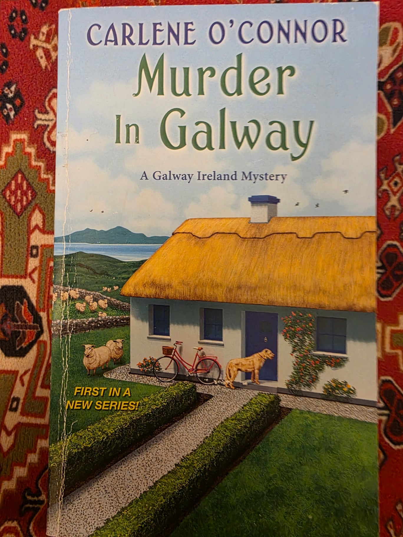 MURDER IN GALWAY, BY CARLENE O'CONNOR.