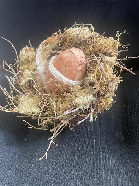 Rustic Natural Bird Nest 