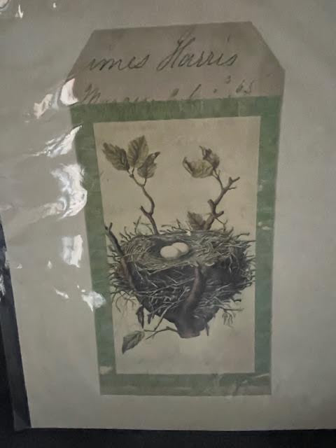 Vintage Inspired Bird Nest 