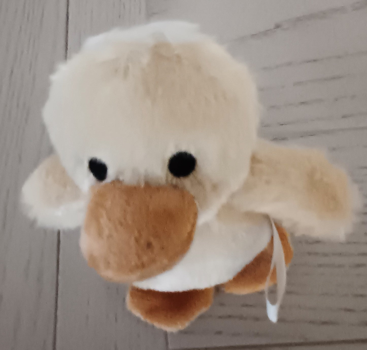 Baby Duck Plush