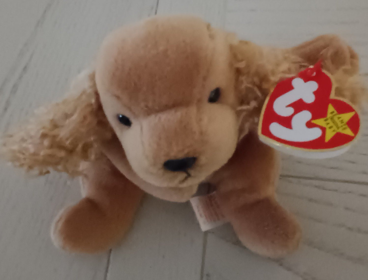 Ty Beanie Baby "Spunky" a dog