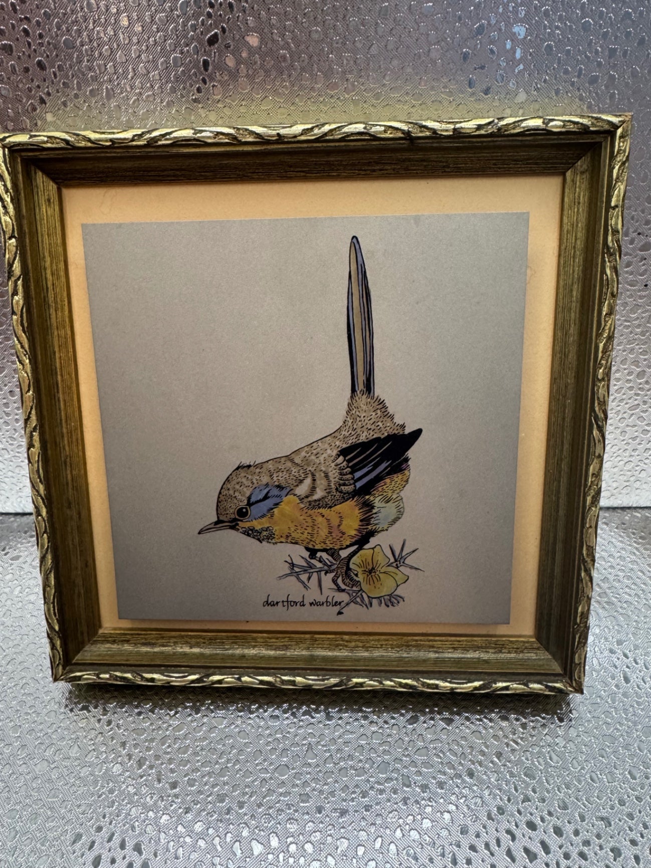 Vintage Bird picture