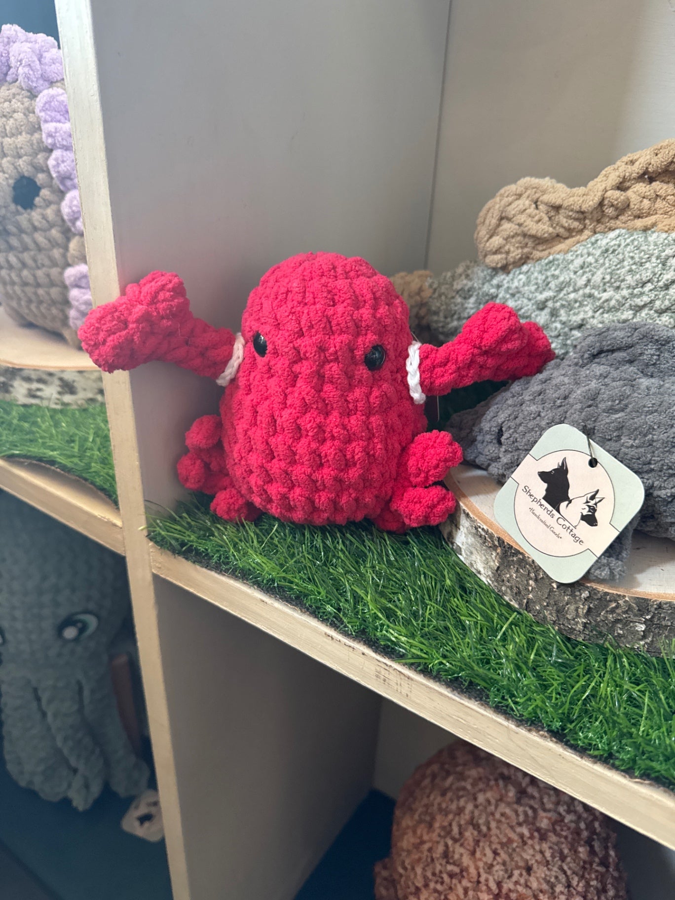 Toys & Games