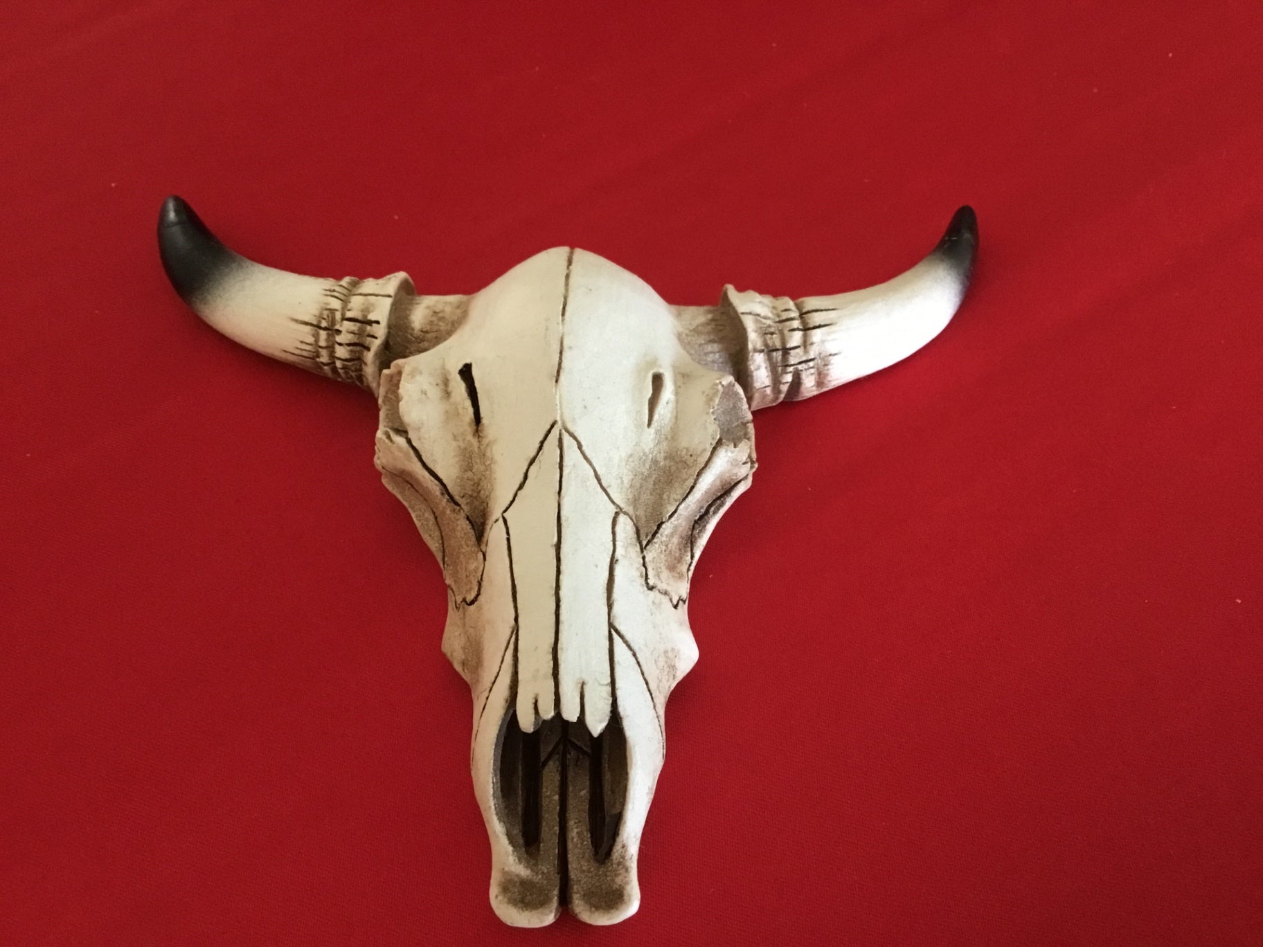 Small, resin cow skull