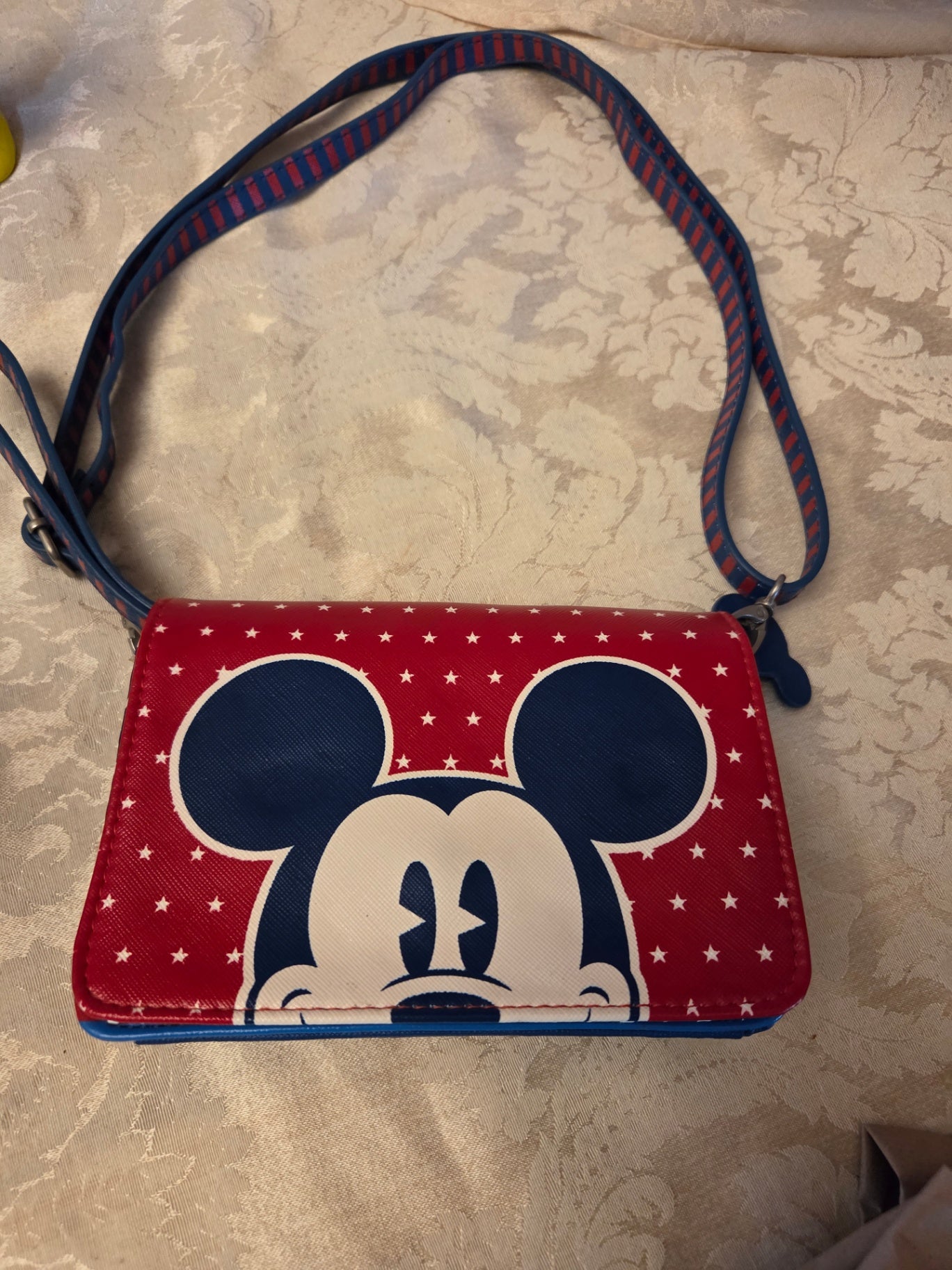 Disney parks purse
