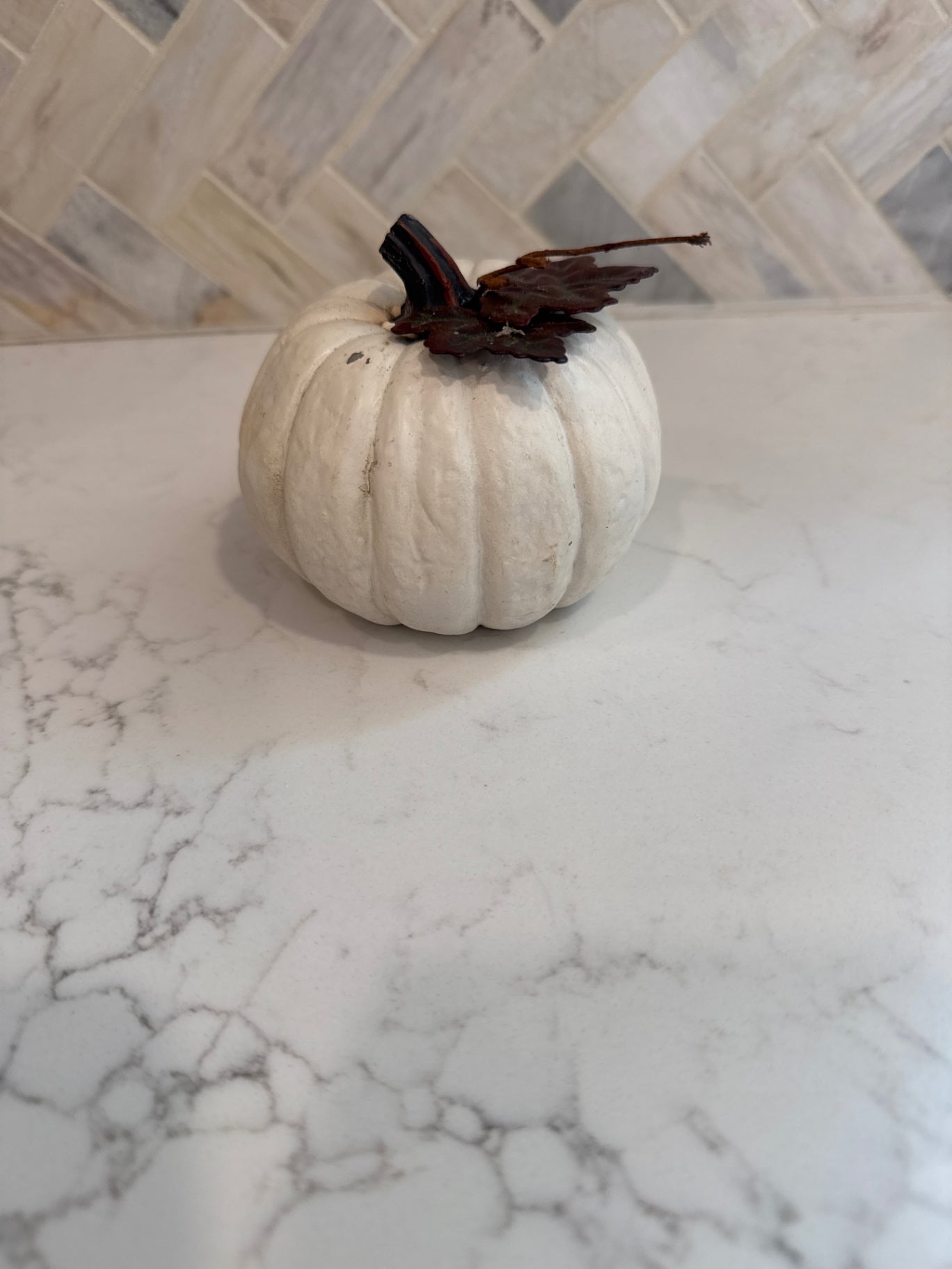 Small White Pumpkin 
