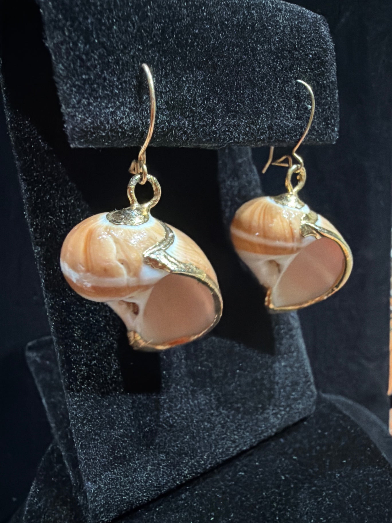 Shell earrings with gold trim