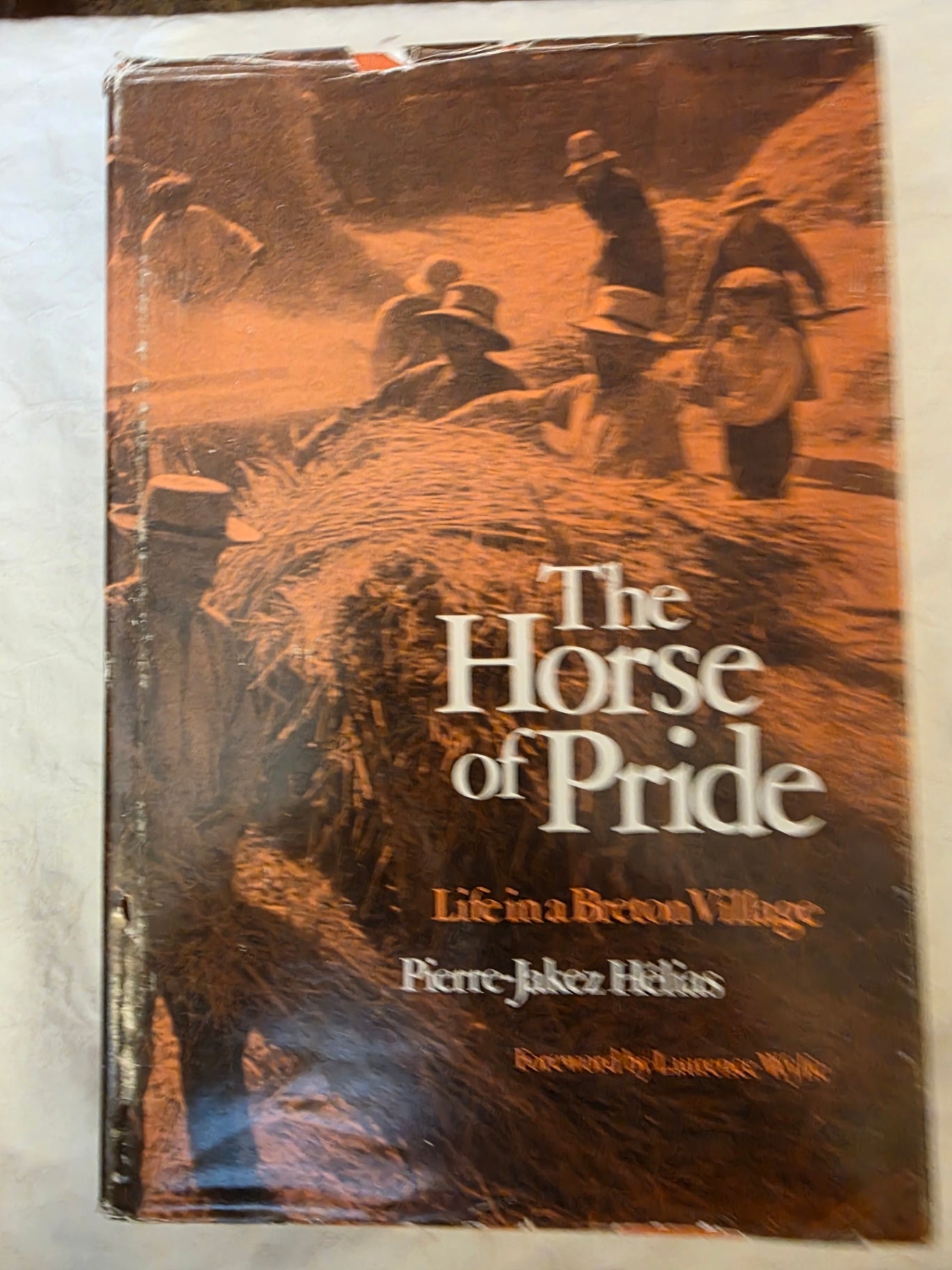 THE HORSE OF A PRIDE. Life in a Breton village.