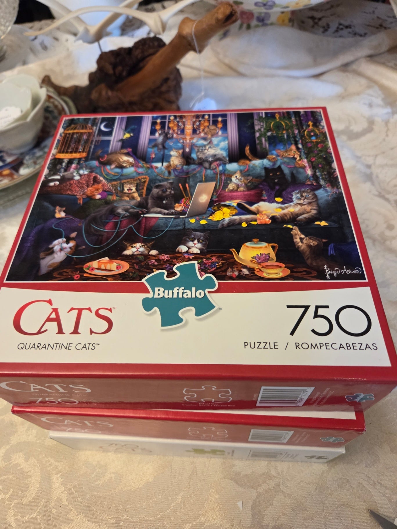Quarantine cats