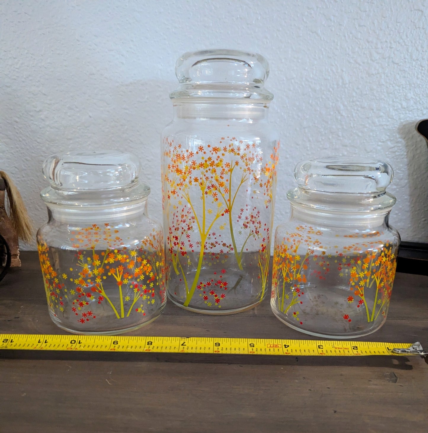 1970's Anchor Hocking Blossoms Glass Canister set