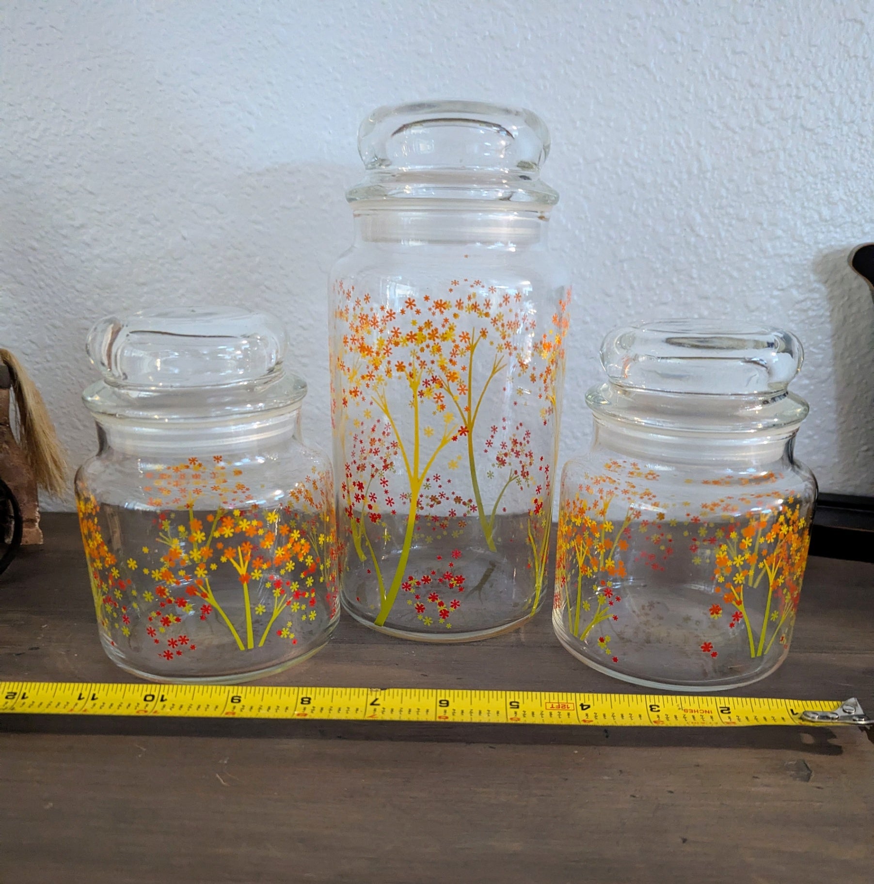 1970's Anchor Hocking Blossoms Glass Canister set