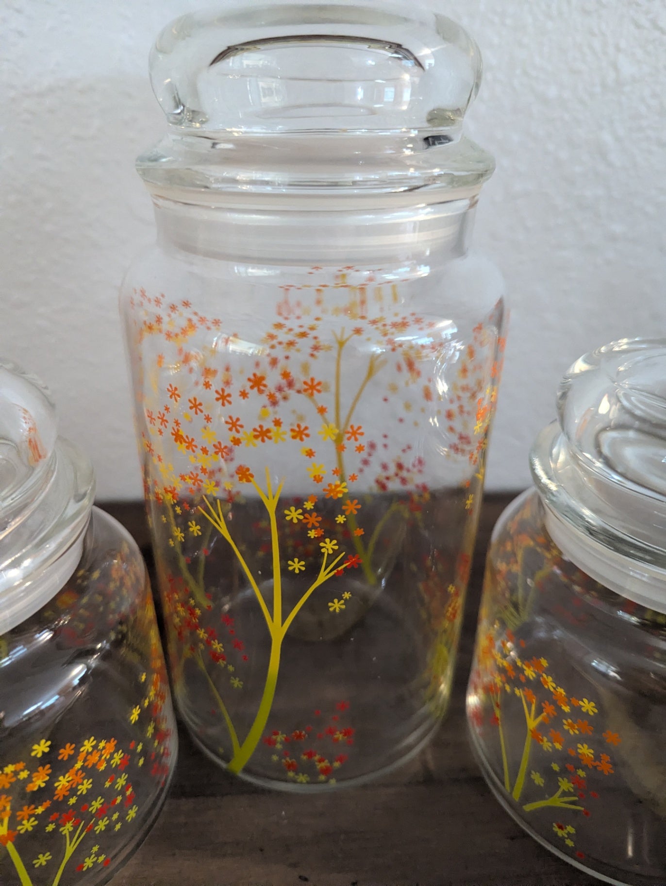 1970's Anchor Hocking Blossoms Glass Canister set